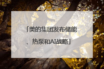 美的集团发布储能、热泵和AI战略