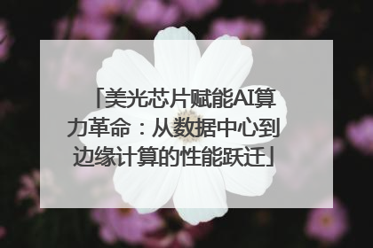 美光芯片赋能AI算力革命：从数据中心到边缘计算的性能跃迁