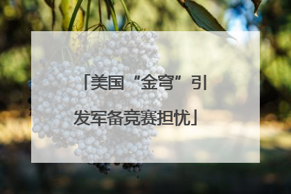 美国“金穹”引发军备竞赛担忧