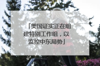美国证实正在组建特别工作组，以监控中东局势