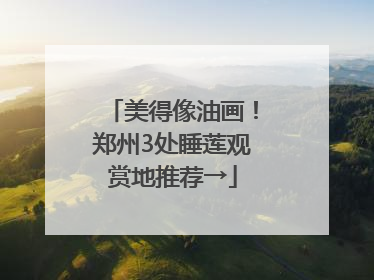 美得像油画！郑州3处睡莲观赏地推荐→