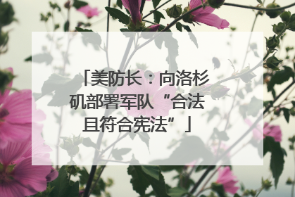 美防长：向洛杉矶部署军队“合法且符合宪法”