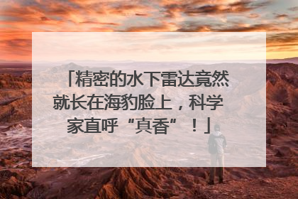 精密的水下雷达竟然就长在海豹脸上，科学家直呼“真香”！