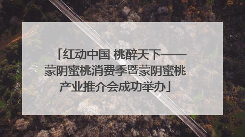 红动中国 桃醉天下——蒙阴蜜桃消费季暨蒙阴蜜桃产业推介会成功举办