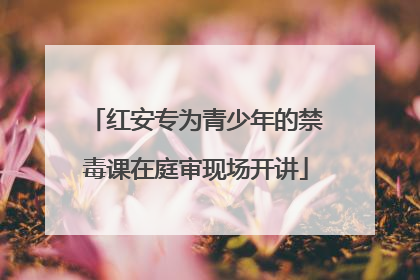 红安专为青少年的禁毒课在庭审现场开讲