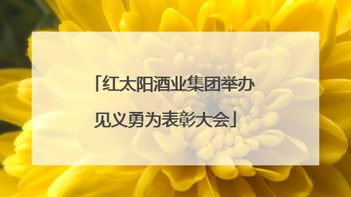 红太阳酒业集团举办见义勇为表彰大会