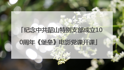 纪念中共韶山特别支部成立100周年《堡垒》电影党课开课