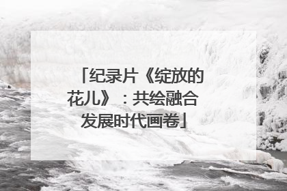 纪录片《绽放的花儿》：共绘融合发展时代画卷