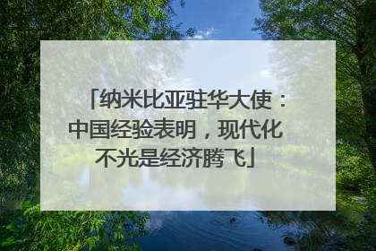 纳米比亚驻华大使：中国经验表明，现代化不光是经济腾飞