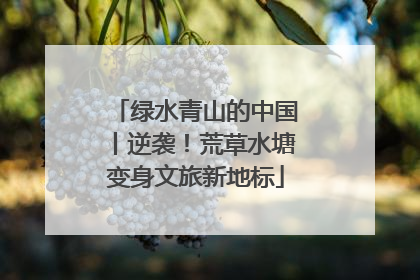 绿水青山的中国丨逆袭！荒草水塘变身文旅新地标