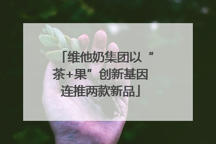 维他奶集团以“茶+果”创新基因连推两款新品