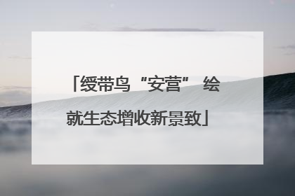 绶带鸟“安营” 绘就生态增收新景致