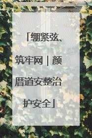 绷紧弦、筑牢网｜颜厝道安整治护安全