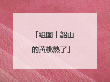 组图丨韶山的黄桃熟了