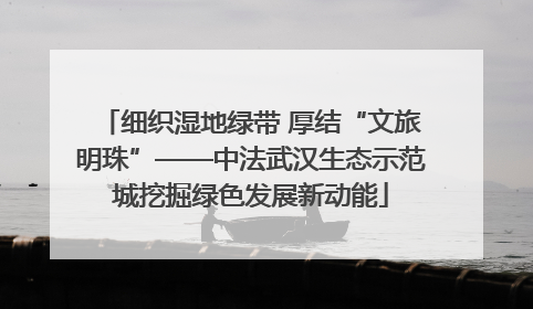 细织湿地绿带 厚结“文旅明珠”——中法武汉生态示范城挖掘绿色发展新动能