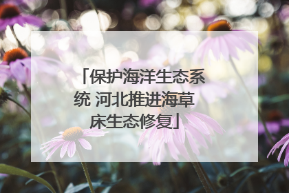 保护海洋生态系统 河北推进海草床生态修复