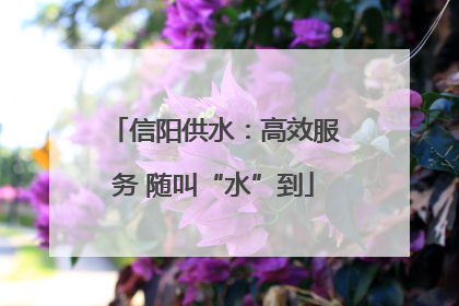 信阳供水：高效服务 随叫“水”到