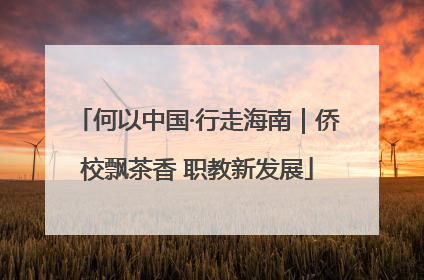 何以中国·行走海南｜侨校飘茶香 职教新发展