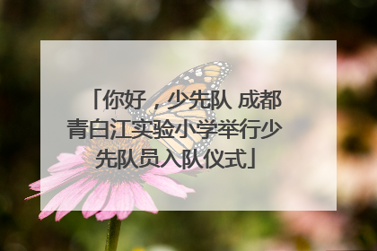 你好，少先队 成都青白江实验小学举行少先队员入队仪式