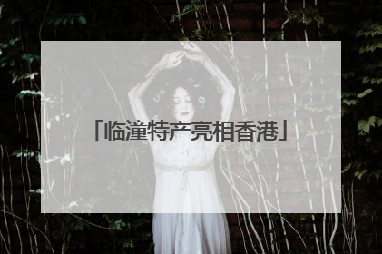 临潼特产亮相香港