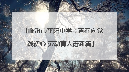 临汾市平阳中学：青春向党践初心 劳动育人谱新篇