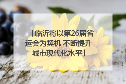 临沂将以第26届省运会为契机 不断提升城市现代化水平