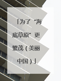为了“海底草原”更繁茂（美丽中国）