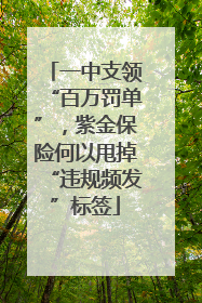 一中支领“百万罚单”，紫金保险何以甩掉“违规频发”标签