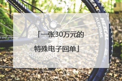 一张30万元的特殊电子回单