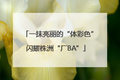 一抹亮丽的“体彩色”闪耀株洲“厂BA”