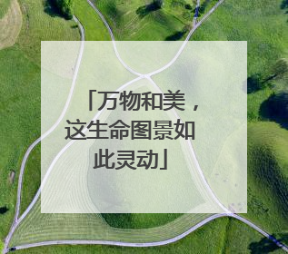 万物和美，这生命图景如此灵动