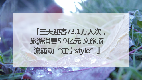 三天迎客73.1万人次，旅游消费5.9亿元 文旅顶流涌动“江宁style”