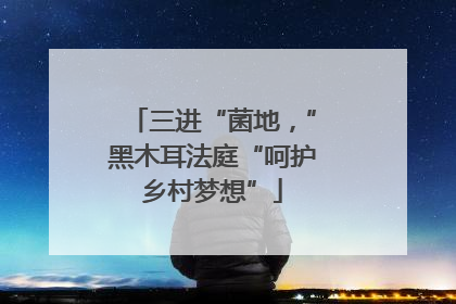 三进“菌地，”黑木耳法庭“呵护乡村梦想”