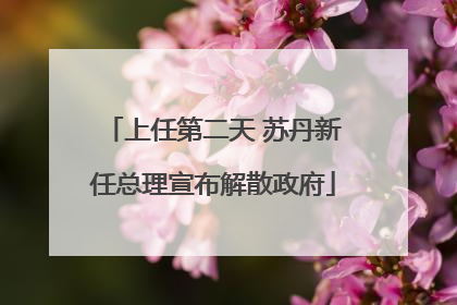 上任第二天 苏丹新任总理宣布解散政府