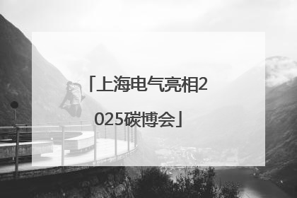 上海电气亮相2025碳博会
