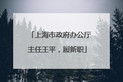 上海市政府办公厅主任王平，履新职