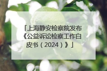 上海静安检察院发布《公益诉讼检察工作白皮书（2024）》