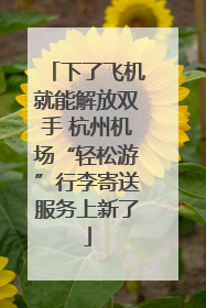 下了飞机就能解放双手 杭州机场“轻松游”行李寄送服务上新了