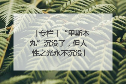 专栏丨“里斯本丸”沉没了，但人性之光永不沉没