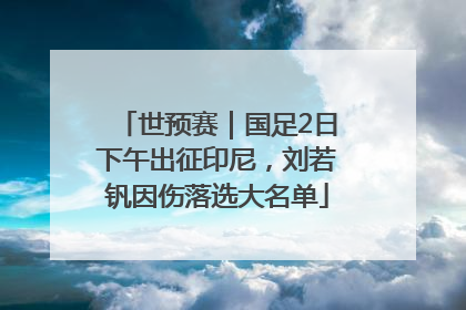 世预赛｜国足2日下午出征印尼，刘若钒因伤落选大名单