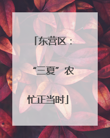 东营区：“三夏”农忙正当时