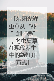 东阳光鲜虫草从“补”到“养”，冬虫夏草在现代养生中的新打开方式
