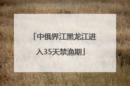 中俄界江黑龙江进入35天禁渔期