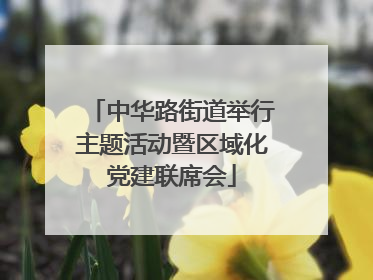 中华路街道举行主题活动暨区域化党建联席会
