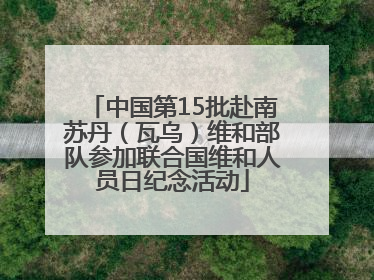 中国第15批赴南苏丹（瓦乌）维和部队参加联合国维和人员日纪念活动