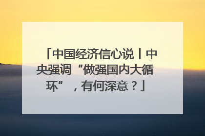 中国经济信心说丨中央强调“做强国内大循环”，有何深意？