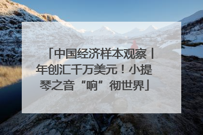 中国经济样本观察丨年创汇千万美元！小提琴之音“响”彻世界