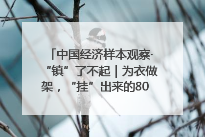中国经济样本观察·“镇”了不起｜为衣做架，“挂”出来的80亿元“衣架产业”