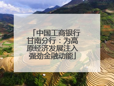 中国工商银行甘南分行：为高原经济发展注入强劲金融动能