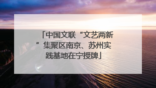 中国文联“文艺两新”集聚区南京、苏州实践基地在宁授牌